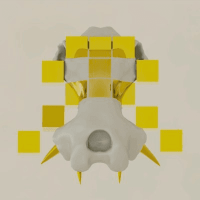 Hippo Invader