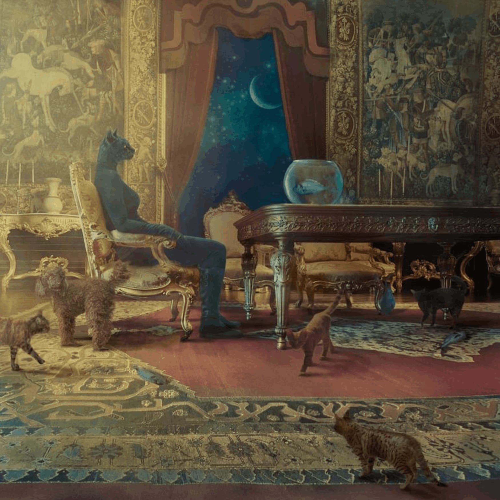 Many Faces of the Cat